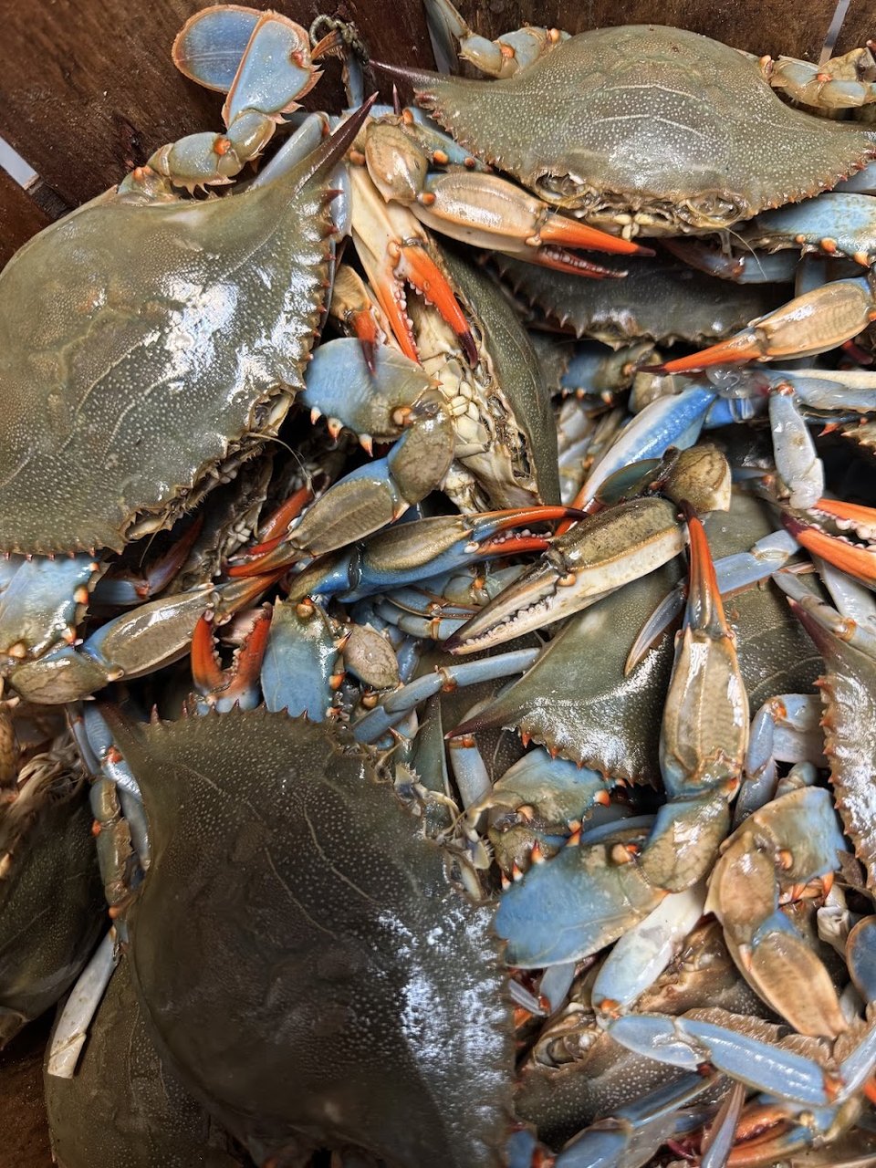 Menu board with crab house selections.